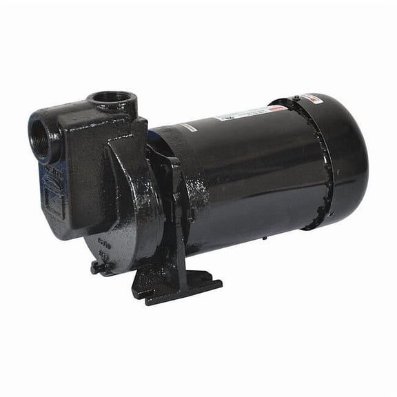 Dayton Self Priming Pump,1 HP,Cast Iron 2ZXP4