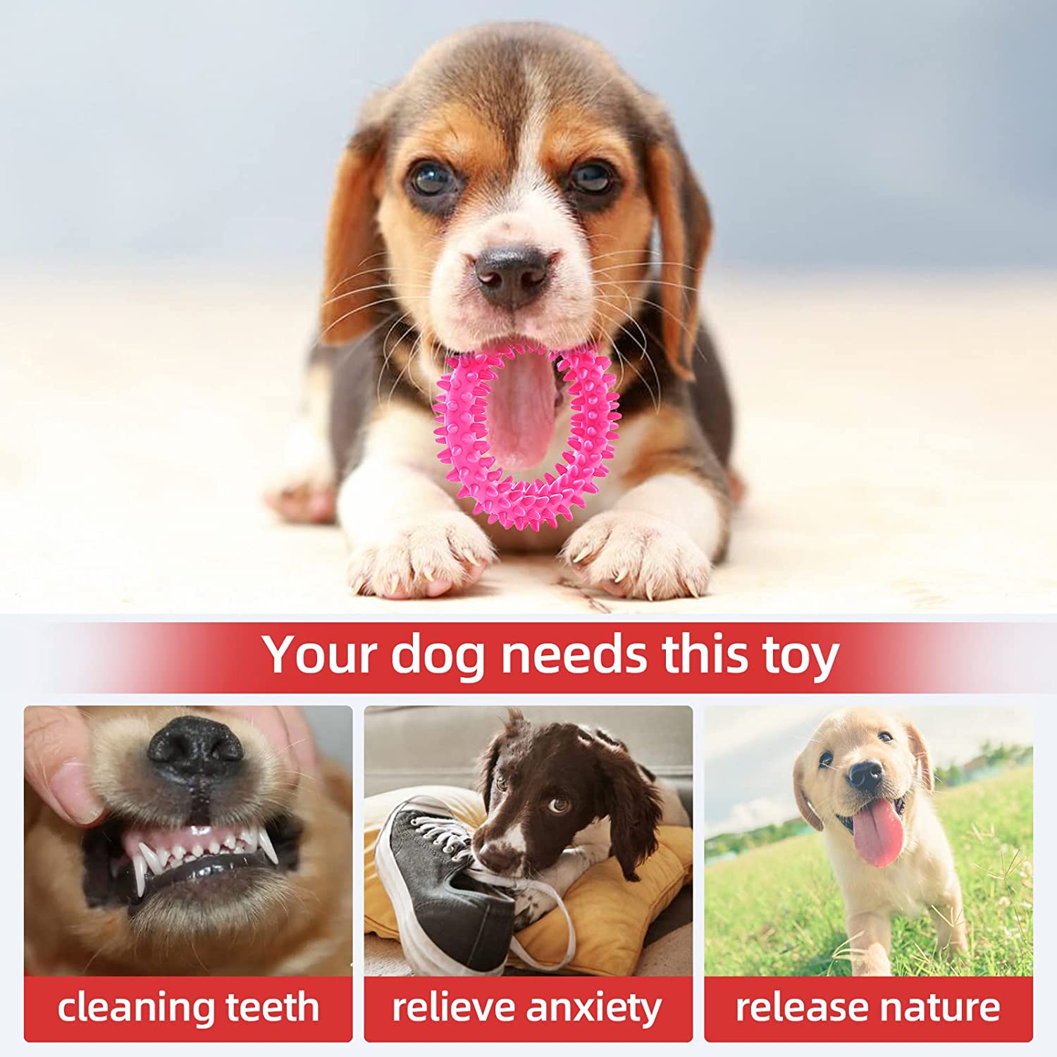 How To Pack Dog Food For Boarding