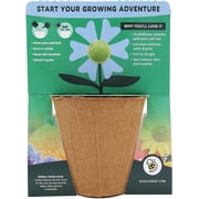 BUZZY Seeds Wildflower Seed Ball Cup 6-Pack – Over 50 Seeds Per Ball, Colorful Decorative Seed Balls in Biodegradable Cups with Growing Medium – Indoor Gardening Gift Set