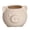 light skin tone, variant on Lovely Cartoon Pigs Planter Decorative Garden Pots Unique Pigs Themed Small Planter for Growing Miniature Succulents