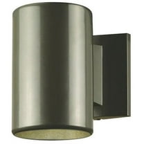 Westinghouse 6797300 One-Light Outdoor Wall Fixture, Polished Graphite Finish