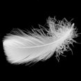 thumbnail image 4 of 200 piezas de plumas naturales, plumas de decorativas para bodas, decoración de fiestas temáticas, festivales, diadema, manualidades, C Soledad Plumas de ganso, 4 of 10
