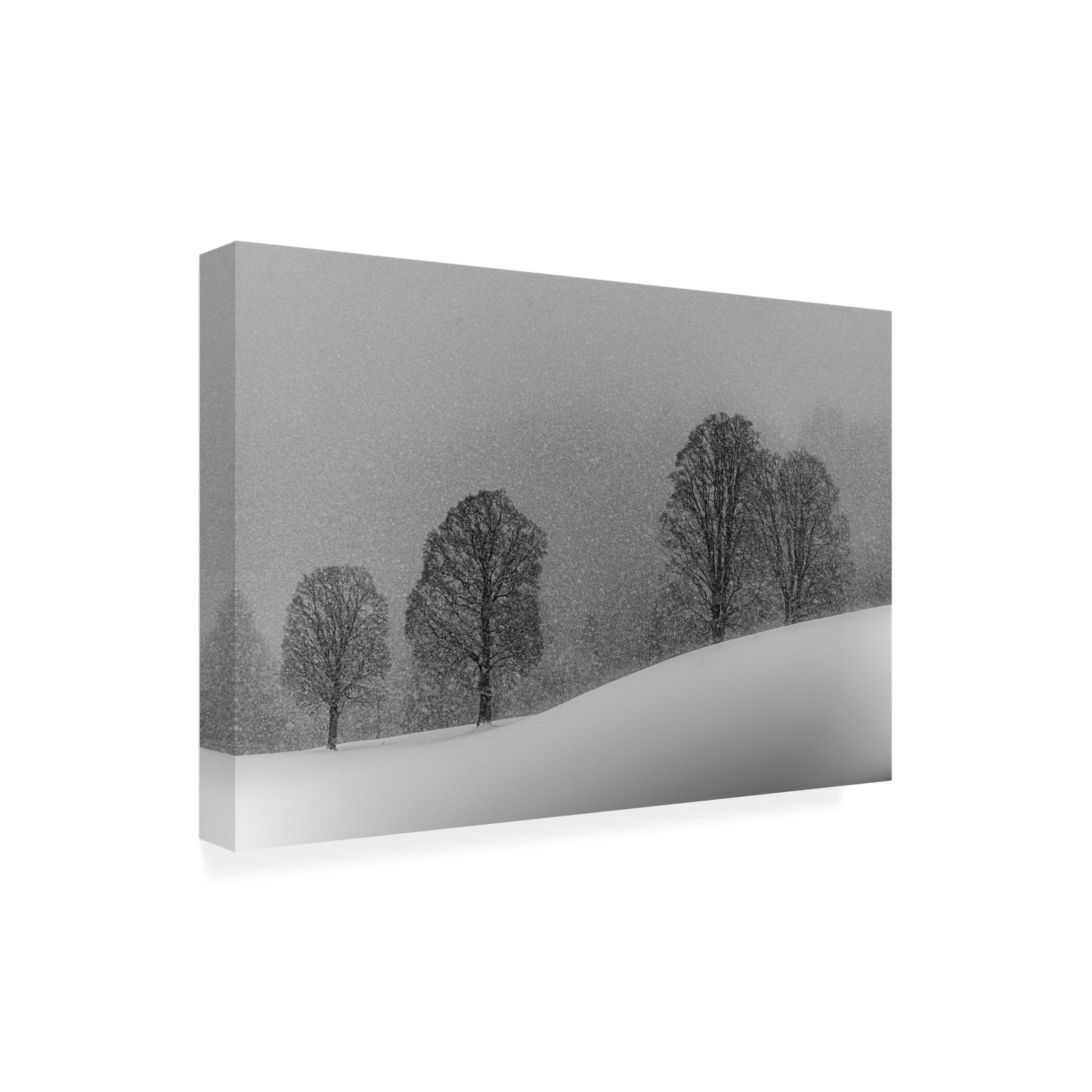 Trademark Fine Art Andy Dauer Snow White Canvas Wall Art