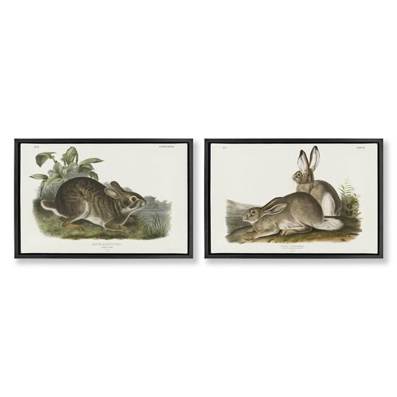 Stupell Industries Gentle Resting Cottage Rabbit Animals Painting Black Floater Framed Canvas Art Print Wall Art, 25 x 17, Set of 2