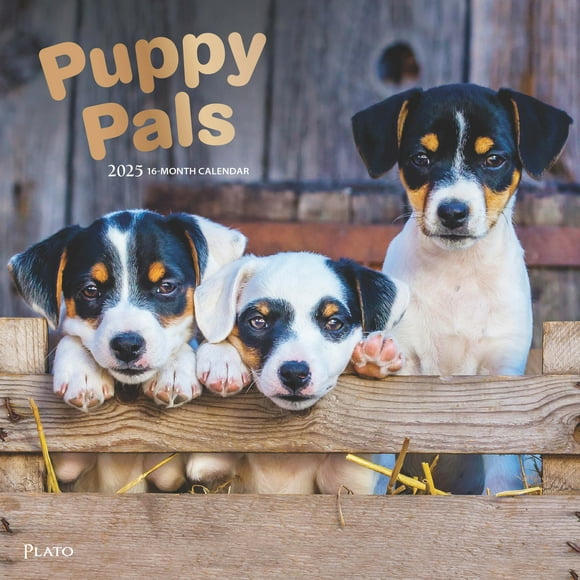 2025 Puppies Calendar Set