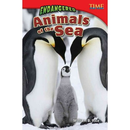 Endangered Animals of the Sea: Challenging Plus