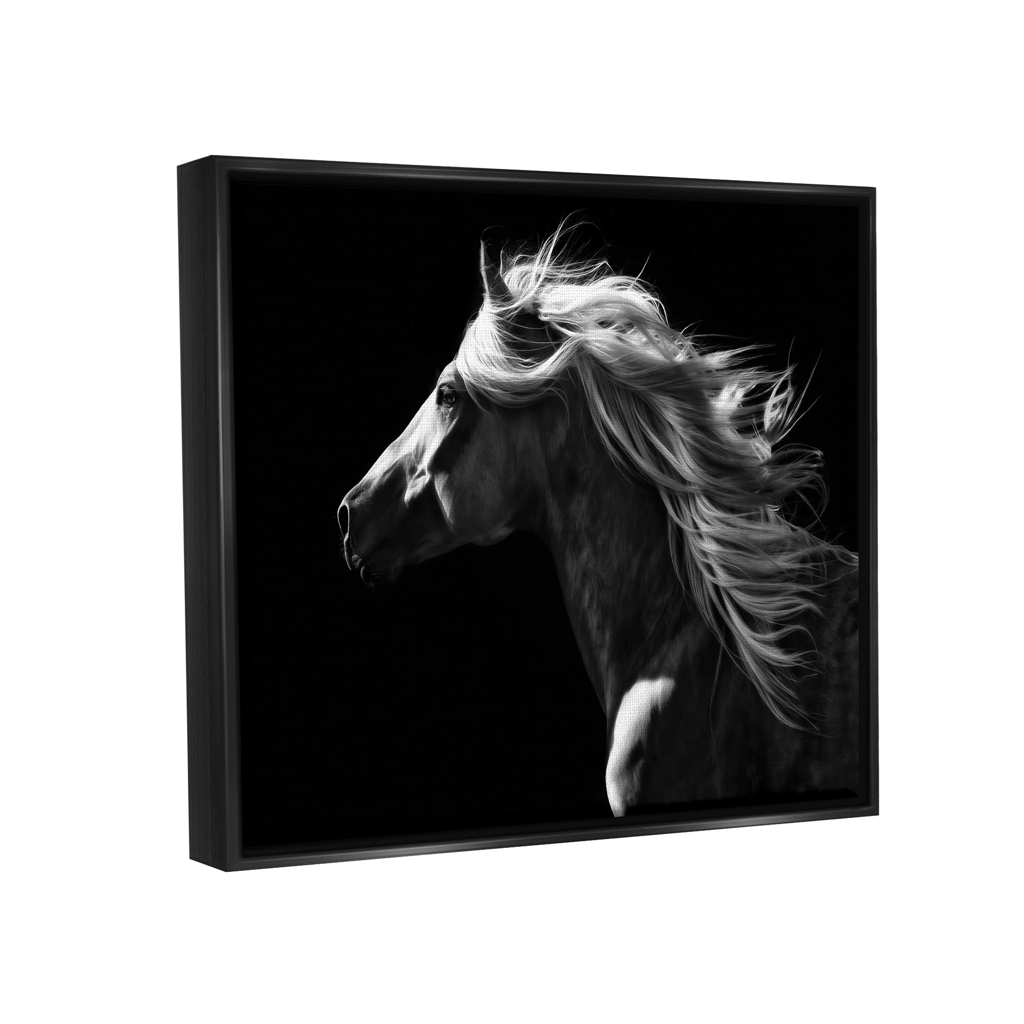 Stupell Industries Windblown Stallion Mane Animals & Insects Photography Black Floater Framed Canvas Art Print Wall Art, 21 x 17