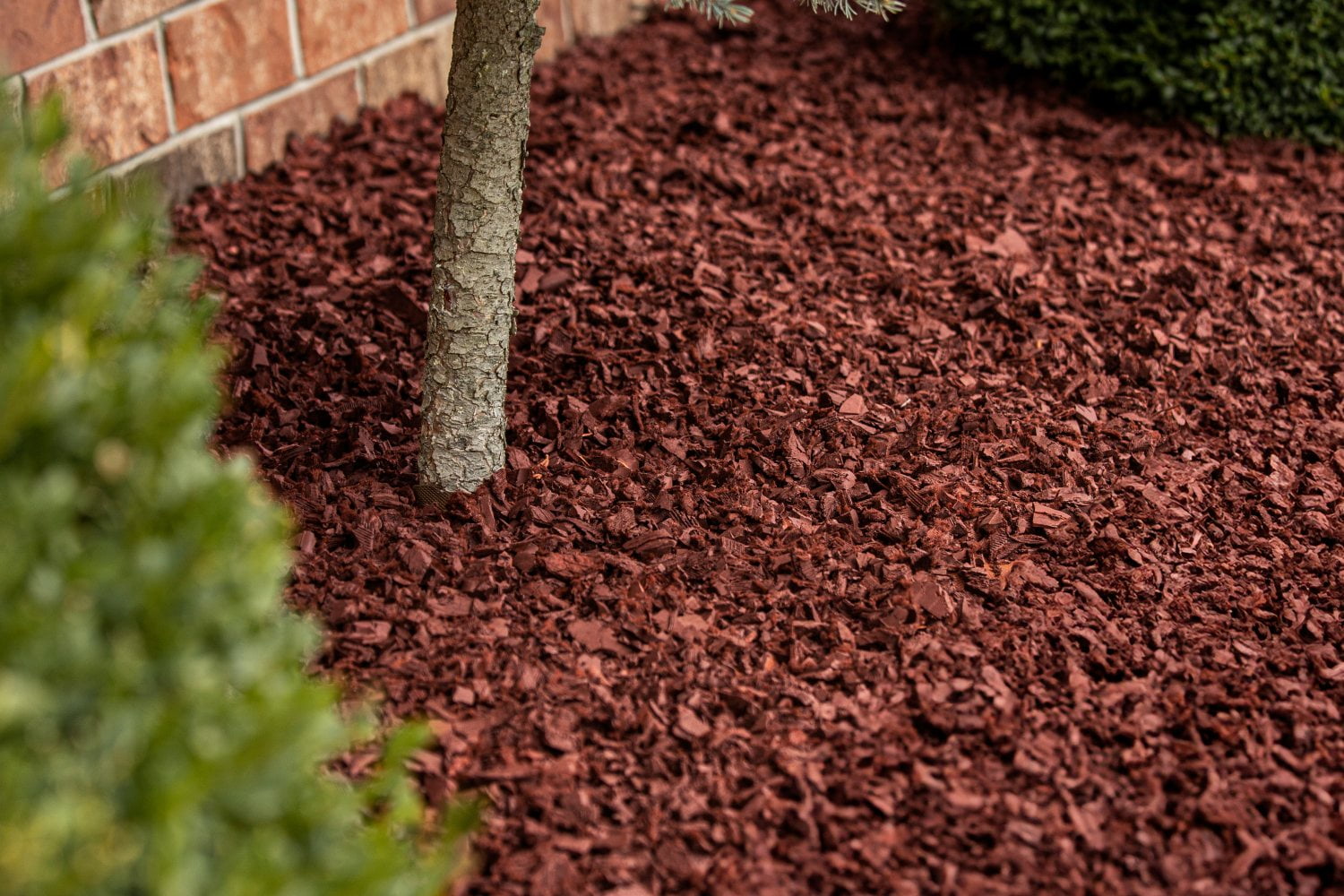 Member's Mark Rubber Mulch, Assorted Colors & 25/1.5 cu ft