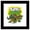 Black Framed Version, variant on Gallery Pops Nickelodeon Teenage Mutant Ninja Turtles: Mutant Mayhem - Mini Mutants Turtle Power Wall Art, Unframed Version, 12" x 12"