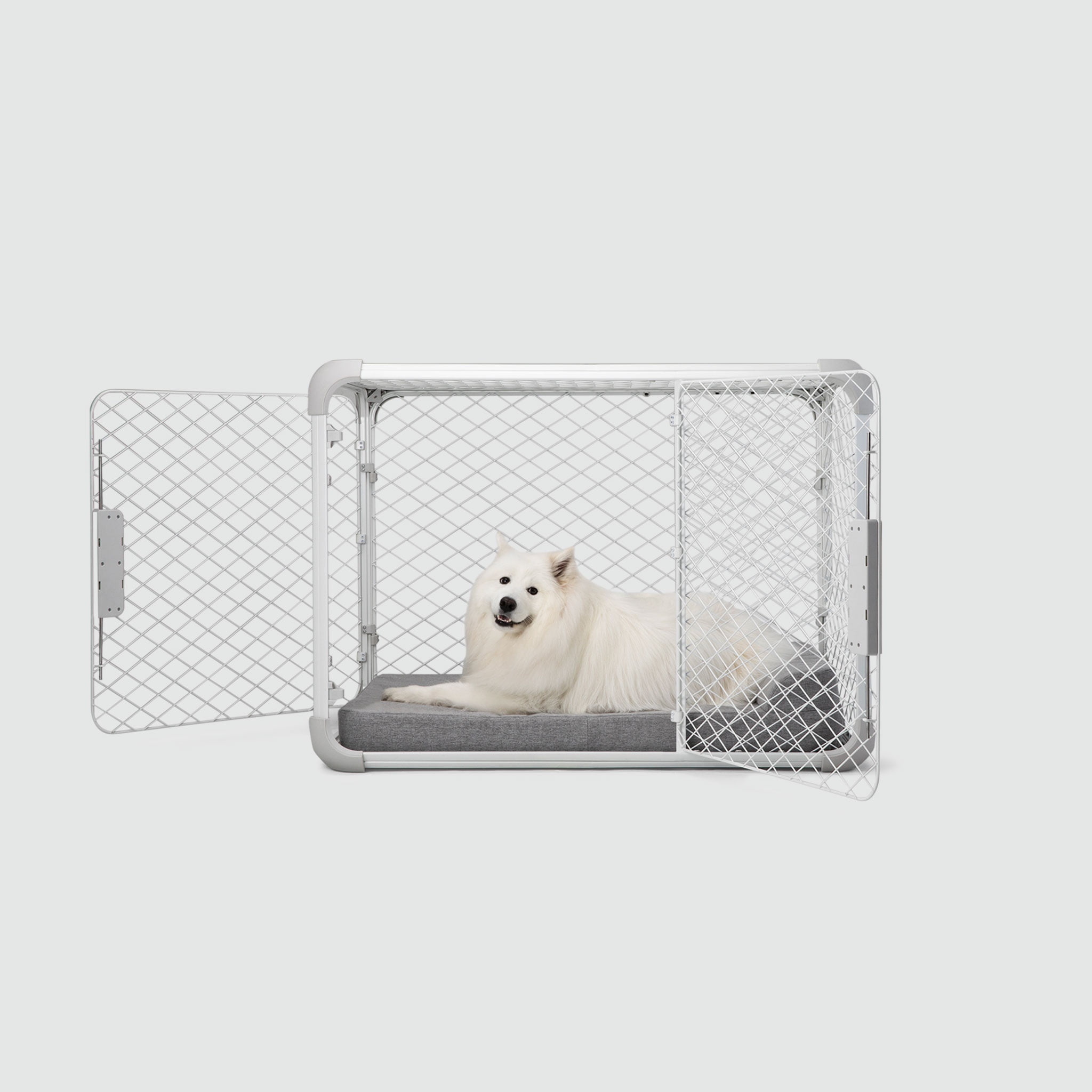 DIGGS Evolv Dog Crate, Safe, Durable Kennel with Removable Ceiling Panel and Modular, Ash, 42"