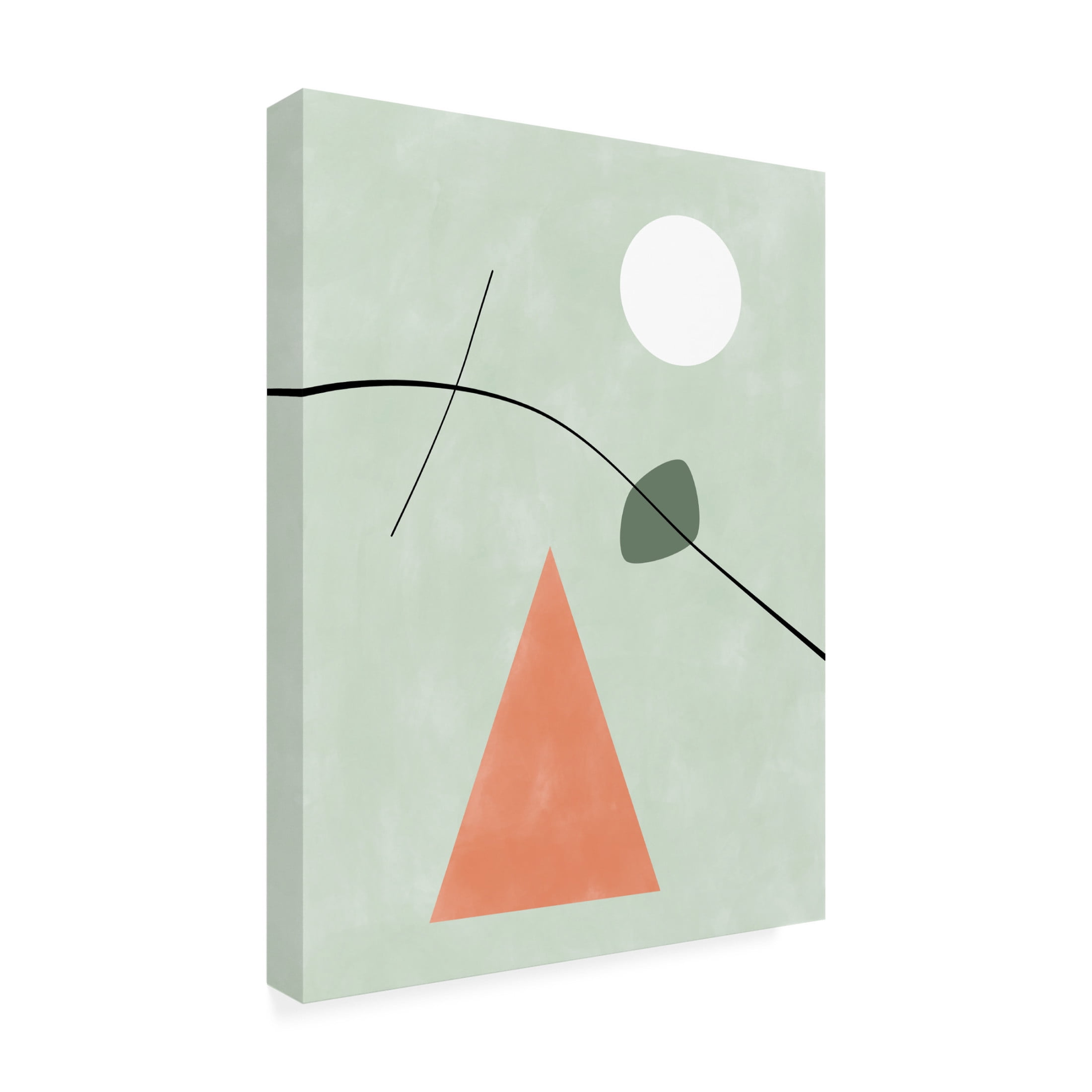 Trademark Fine Art Elena Ristova Pinkgreen24 Canvas Wall Art