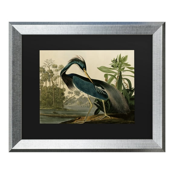 Trademark Fine Art 'Louisiana Heron' Canvas Art by John James Audubon