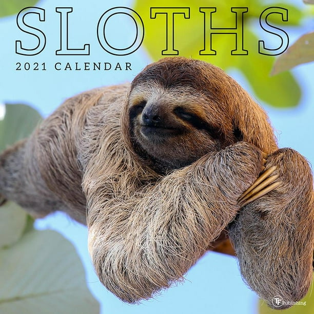 2021 Sloths 12"x12" Wall Calendar
