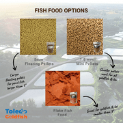 Goldfish Pond Pack #3 (Includes Shubunkins & Comets) by Toledo Goldfish