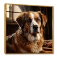 thumbnail image 2 of Designart "Serene Saint Bernard I" Animals Dog Floater Framed Wall Art Prints, 2 of 5