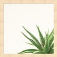 thumbnail image 1 of Succulent Simplicity II Neutral by Felicity Bradley, Framed Wall Art, 13.25W x 13.25H, 1 of 2