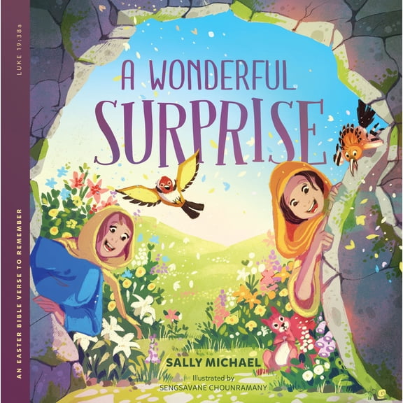 Pre-Owned A Wonderful Surprise: An Easter Bible Verse to Remember (Paperback) 1645074978 9781645074977