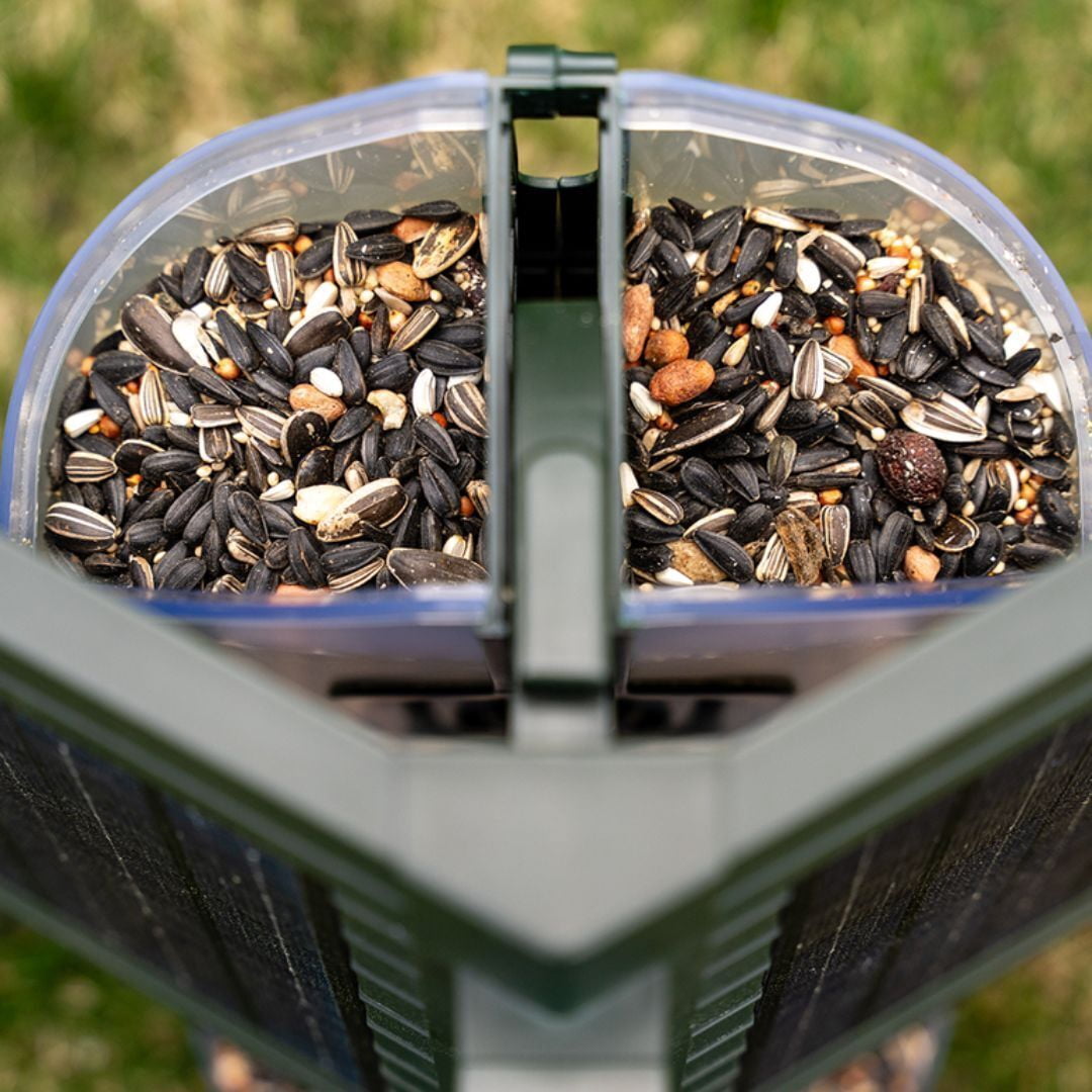 Feathersnap Scout WiFi Solar-Powered Smart Bird Feeder