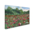 thumbnail image 2 of Trademark Fine Art "Poppy Field Wood" Canvas Art by Manor Shadian, 2 of 3