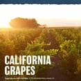 thumbnail image 5 of Vino Tinto Woodbridge By Robert Mondavi Merlot 750ml, 5 of 5
