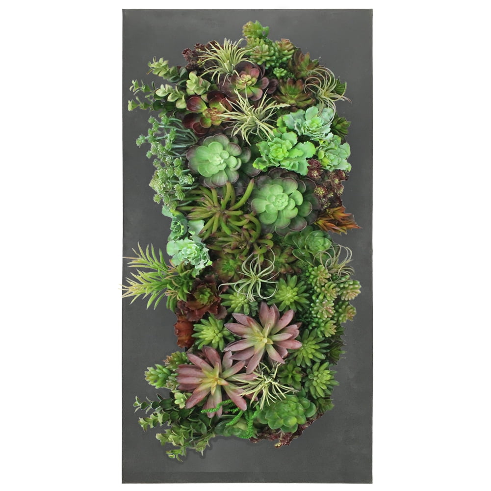 Modern Home Living Wall Galvanized Steel/Zinc Succulent