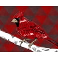 thumbnail image 2 of Longfellow Designs 32x26 Black Ornate Wood Framed with Double Matting Museum Art Print Titled - Cardinal Hello Red, 2 of 4