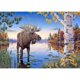 thumbnail image 1 of Diamond Painting (DE5113) 5D Art Drawing Animal raro DIY Square Kit Craft 40x50cm FLhrweasw Nuevo, 1 of 1