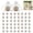WhiteL, variant on Reusable Fruit Protection Bags with Drawstring Mesh Garden Netting Bags for Strawberry Grape Mango Pest and Bird Control Breathable Organza for Orchard and Home Gardening