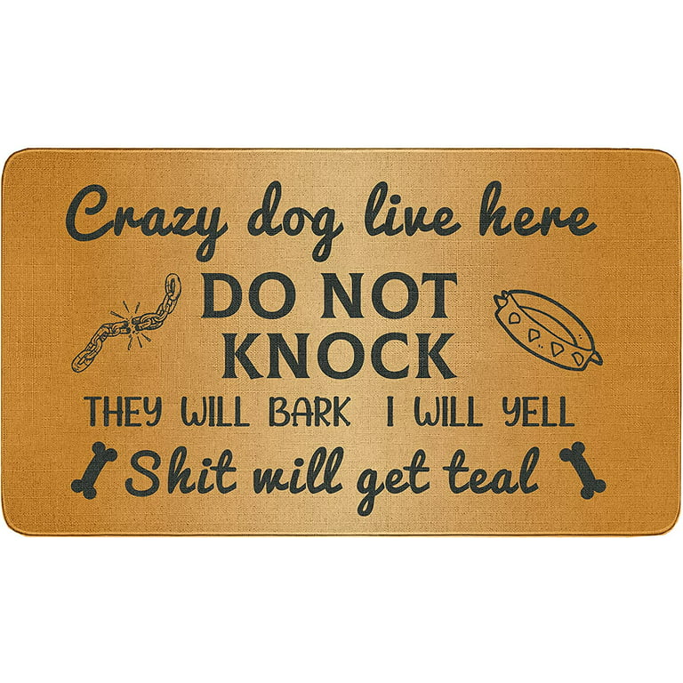 Hello Door Mat Outdoor Entry Rug, Waterproof Door Mat for Inside Entryway  Decor, Funny Welcome Mat Outdoor with Cute Text and Pattern for Home Decor  or Dog Mat for Muddy Paws, 30x17Indoor
