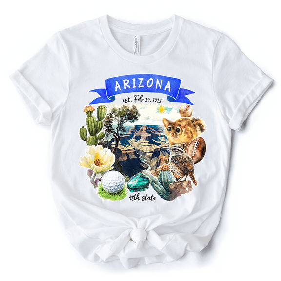 Artistic Arizona State Themes and Landmarks T-Shirt, Tee for History and Travel Lovers