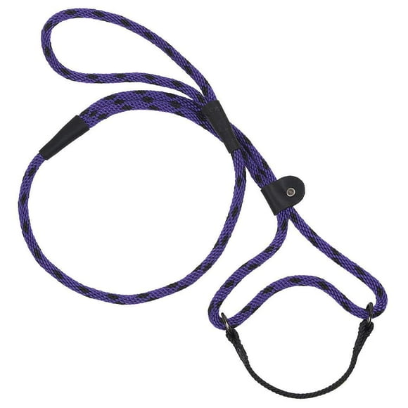 Mendota Pet Dog Walker, Martingale Style Leash - Leash & Collar Combo, Made in The USA - Black Ice Purple, 3/8 in x 6 ft - (Small/Medium Breeds)