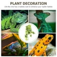 thumbnail image 3 of unbranded Planta Decorativa Para Reptiles Con Material Plástico Resistente Y Apariencia Natural Para Terrarios, 3 of 7