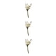 thumbnail image 4 of Cateissary Durabilidad y encanto duraderos en ramo de flores secas naturales flor seca en relieve elegante HS-11, 4 of 6