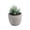B, variant on Small Fake Plants Realistic Lifelike Artificial Potted Succulents, Mini Durable Plastic 2.7x2.6x2.6 in with Pot Faux Plants for Home Office, Kitchen, and Indoor Table Decor