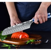 DFITO 9-Piece Kitchen Knife Set, Stainless Steel Professional Cutlery Knife with Sheaths, Storage Bag