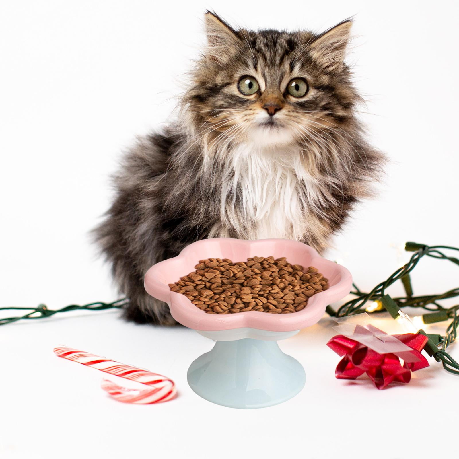 Gazechimp Ceramic Raised Cat Bowls Food Feeding Cat Feeding Bowls for Small Medium Dog Pink