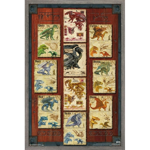 Dungeons and Dragons - Dragon Grid Wall Poster, 22.375" x 34", Framed