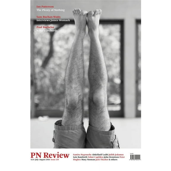 PN Review: PN Review 230 (Paperback)