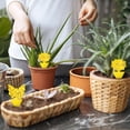 thumbnail image 5 of JHdrYfe 36 Pack Fruit Fly Traps for Indoors,Gnat Traps for House Indoor,Sticky Traps for Mosquito and Flying Insects,Bug Pest Insect Catcher for Houseplant, 5 of 9