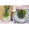 thumbnail image 3 of Juego de piedras preciosas YATOJUZI Cristal curativo de cuarzo transparente, 200 g, 3 of 7