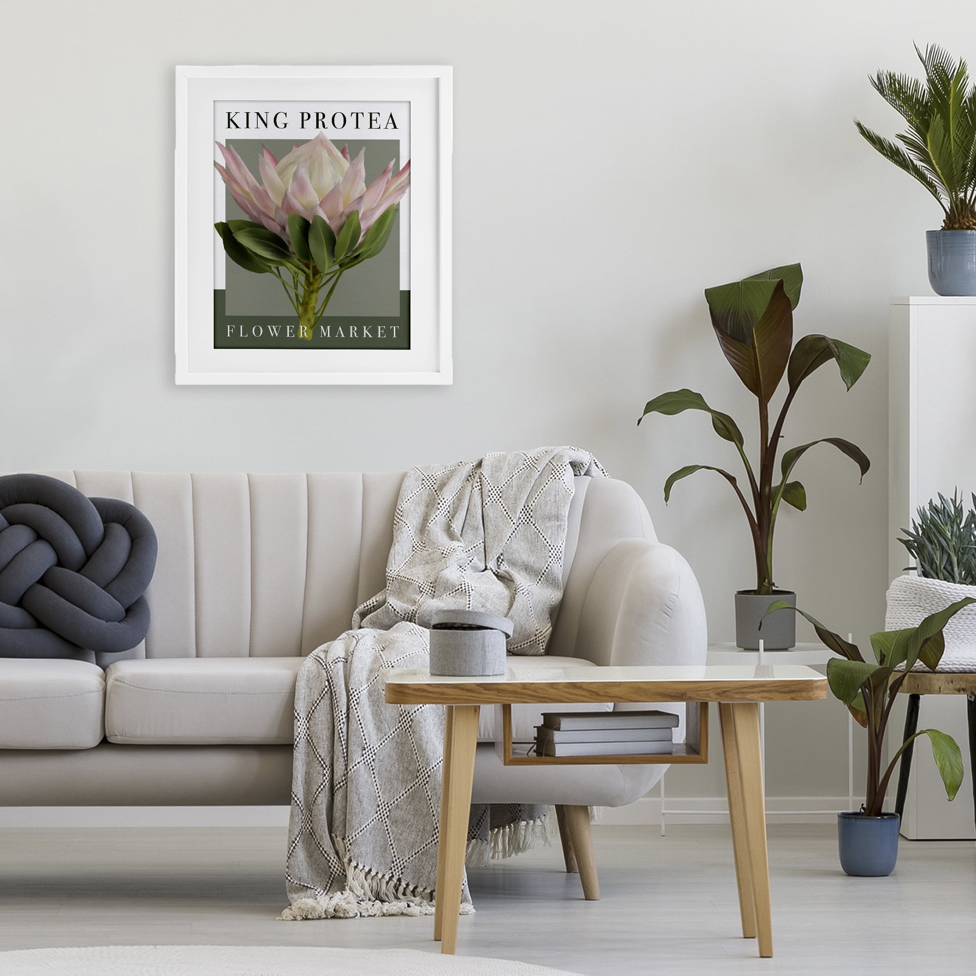 Stupell Industries King Protea Flower Market White Framed Print Under Glass, design by Jennifer Stith