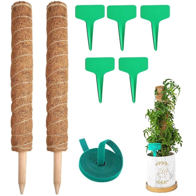 Poste De Musgo Para Plantas Trepadoras Postes De Fibra De Coco Soporte De Plantas De Interior De 40 Cm Para Crecer Hacia Arriba Soporte De Plantas Para Plantas De Monstera Plantas De Dinero Inevent HA036325-00