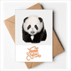 Panda Baby Walk Eyes Art Deco Fashion Thank You Cards Envelopes Blank Note