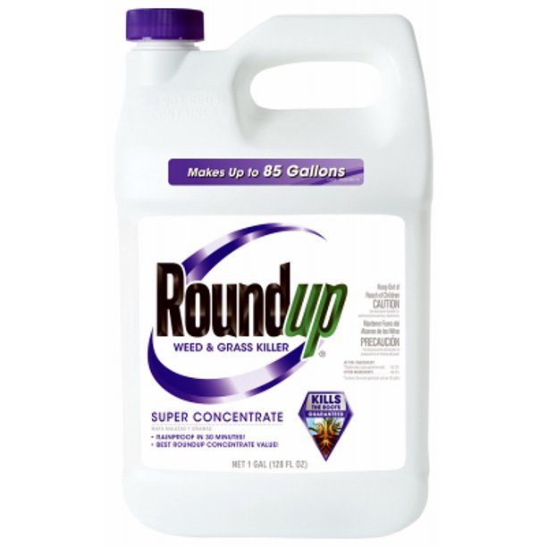 Roundup Gallon Super Concentrate Weed & Grass Killer