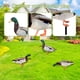 thumbnail image 5 of Estatuas de animales de jardín de adorno de fiesta de juego de patio de acrílico para techo de granero de casa JShteea Libre de BPA, 5 of 5