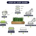 thumbnail image 3 of ZestiGreens Self-Watering Cat Grass Kit – Easiest Way to Grow Fresh Cat Grass, 3 of 6