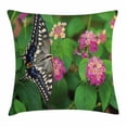 thumbnail image 1 of Swallowtail Butterfly Throw Pillow Cushion Cover, Rare Butterfly on Blooming Spring Flowers Ecology Nature Theme, Decorative Square Accent Pillow Case, 16 X 16 Inches, Green Pink Black, by Ambesonne, 1 of 2