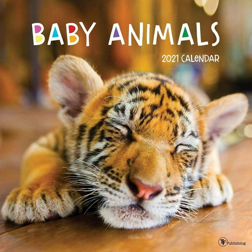 2021 Baby Animals 12"x12" Wall Calendar