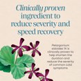 thumbnail image 5 of (Pack Of 3) Natures Way Umcka Cherry Flavor Chewables 20 Pieces, 5 of 5