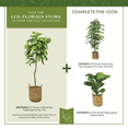 thumbnail image 6 of Artificial Trees, 5ft Artificial Fiddle Leaf Fig Tree in Handwoven Handled Basket by LCG Florals, Fake Indoor Faux Tree for Living Room, Office, & Home Decor, 6 of 10
